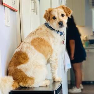 Meet your Posher, Cristina